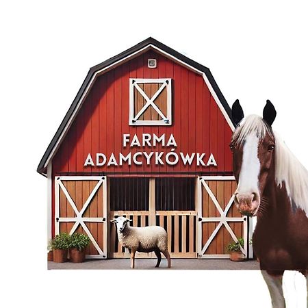 Apartamenty Adamcykowka Blisko Velo Czorsztyn! Kluszkowce Exteriör bild