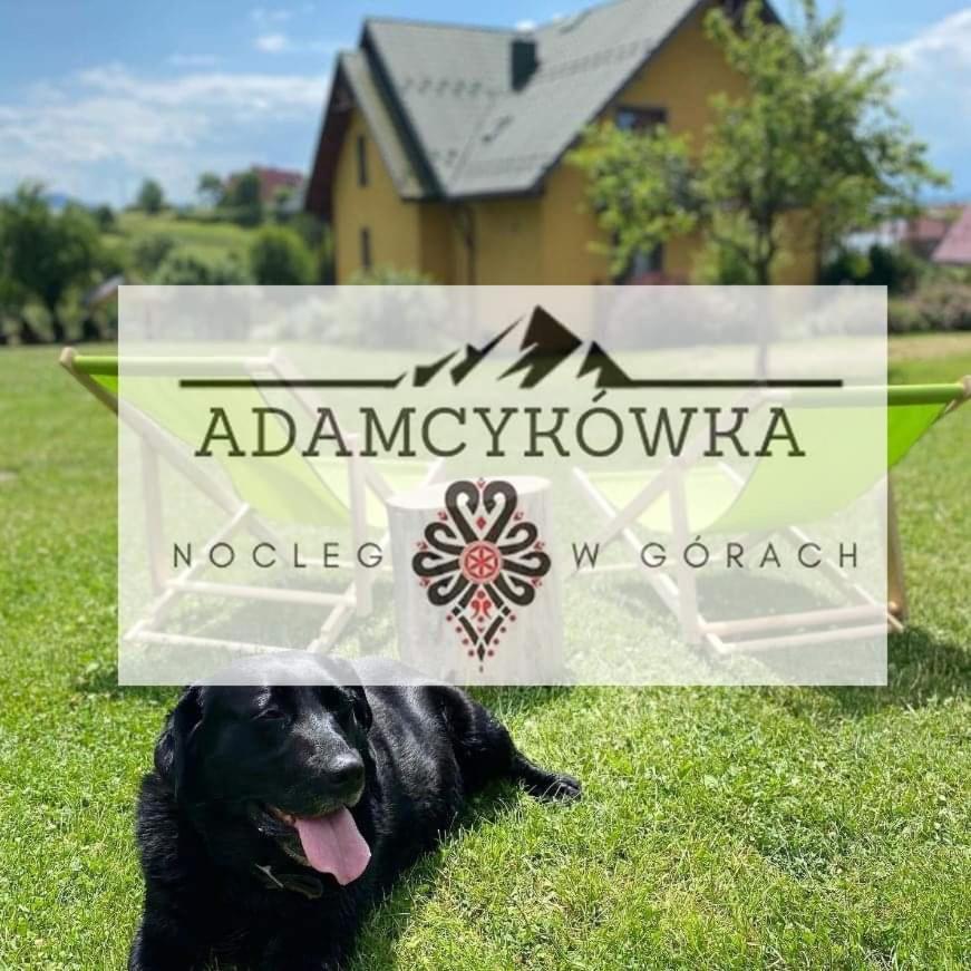 Apartamenty Adamcykowka Blisko Velo Czorsztyn! Kluszkowce Exteriör bild