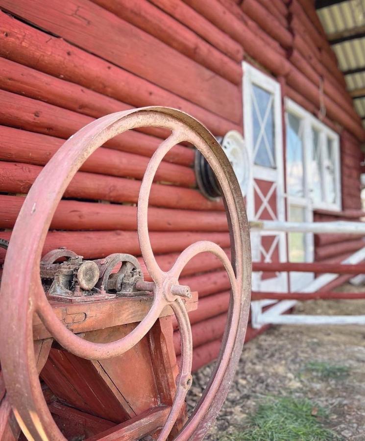 Apartamenty Adamcykowka Blisko Velo Czorsztyn! Kluszkowce Exteriör bild
