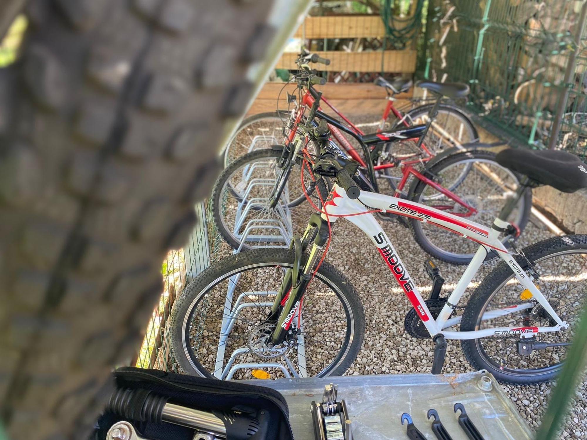 Apartamenty Adamcykowka Blisko Velo Czorsztyn! Kluszkowce Exteriör bild
