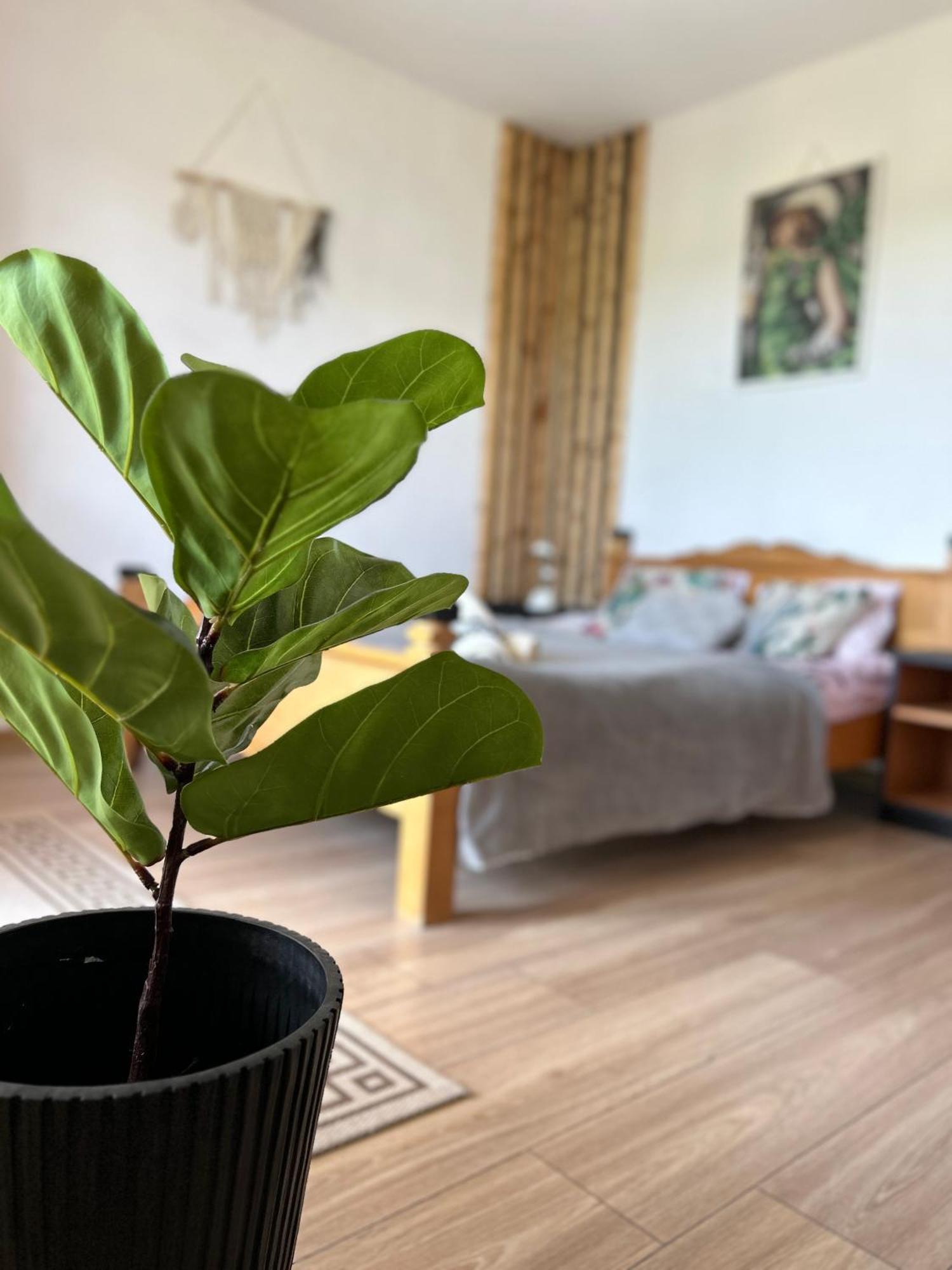 Apartamenty Adamcykowka Blisko Velo Czorsztyn! Kluszkowce Exteriör bild
