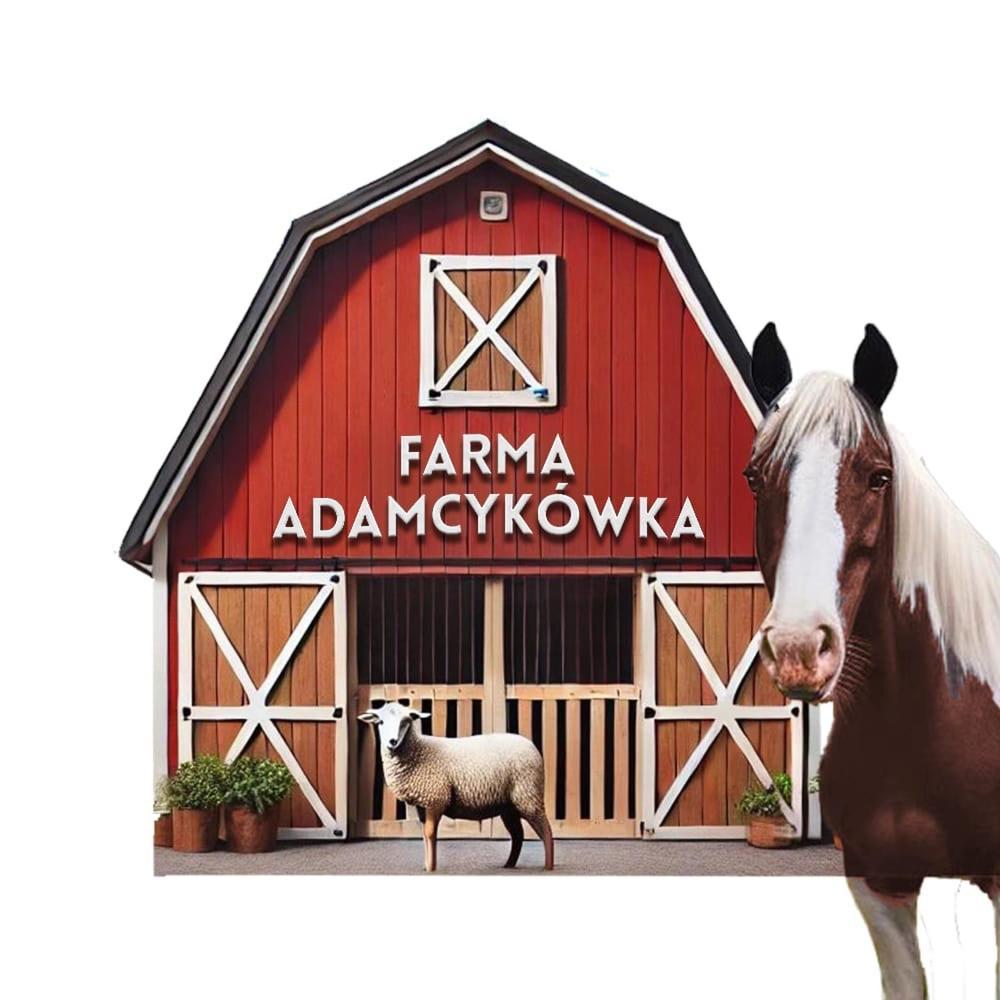 Apartamenty Adamcykowka Blisko Velo Czorsztyn! Kluszkowce Exteriör bild